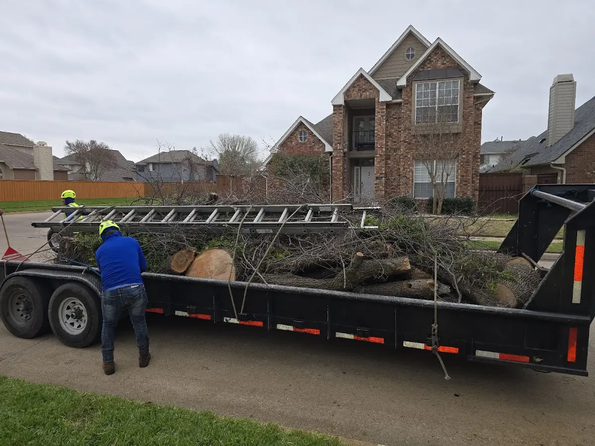 Expert Tree Removal with proper safety equipment in Bakers Mills
